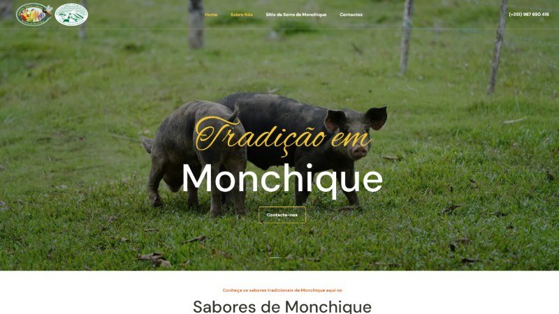 Screenshot do site Site Institucional